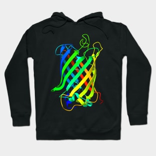 Colourful GFP Green Fluorescent Protein Hoodie